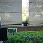 Weigh Your Beehive with a Beehive Scale