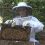 Essential Beekeeping Equipment for Beginners