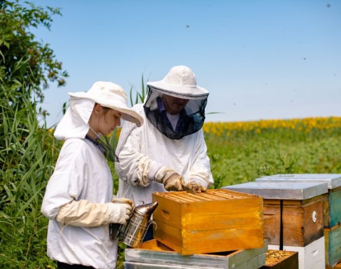 Beekeeping equipment