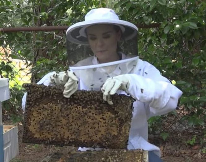 beekeeping equipment