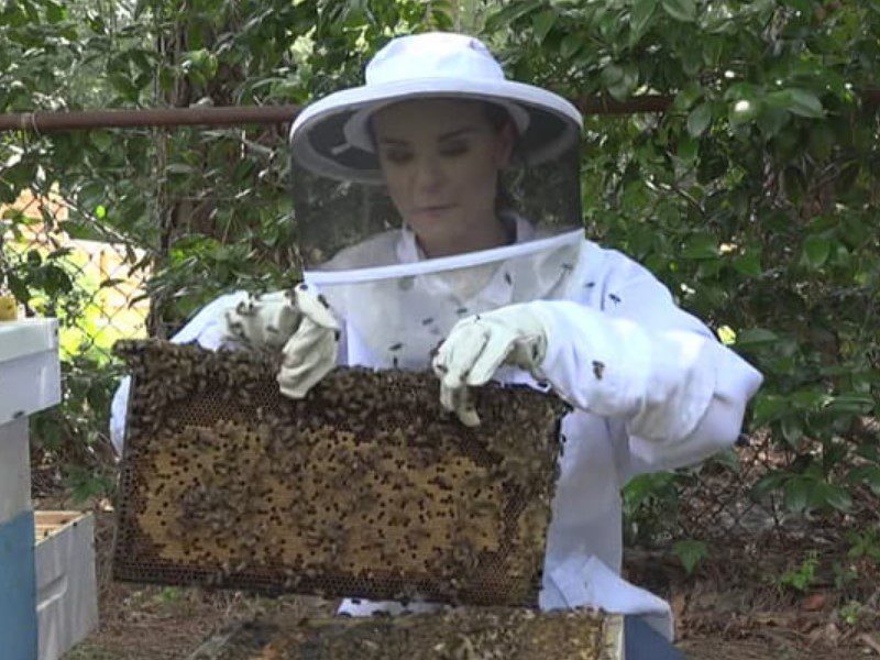 beekeeping equipment