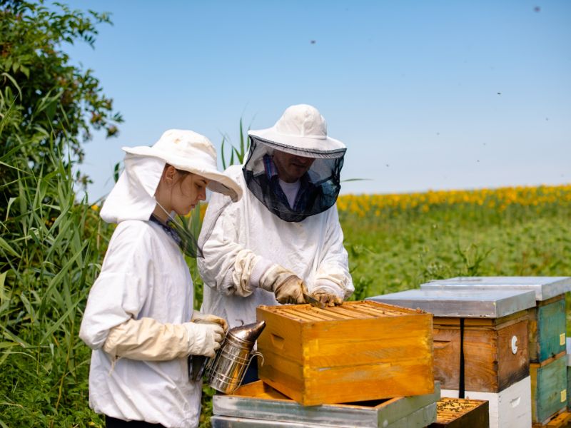 Beekeeping equipment