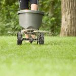Lawn Fertilizer Tales from a Grass Whisperer lawn fertilizer
