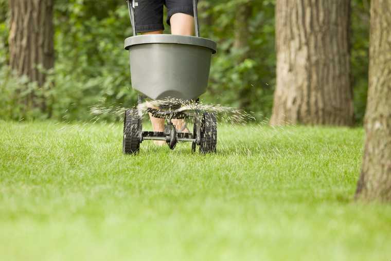 lawn fertilizer