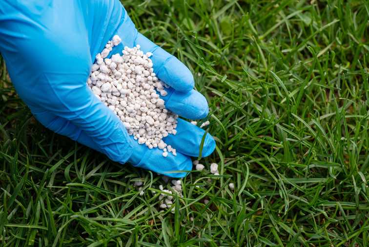 lawn fertilizer with major nutrients
